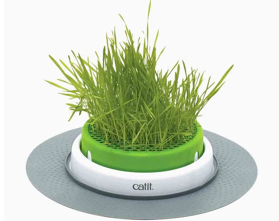 Cat It Jardin Herbe à Chat Senses 3 Cat It Jardin Herbe à Chat Senses