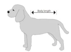 Buster Body Suit Chien XL 7 Buster Body Suit Chien XL -Animaux Fournitures Magasin chien 1 2 1 1 1 1 1 1