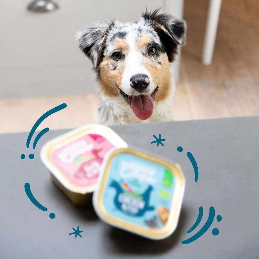 Edgard & Cooper Chiot Bio Poulet Et Poisson 17 X 100 G 5 Edgard & Cooper Chiot Bio Poulet Et Poisson 17 X 100 G – Image 3