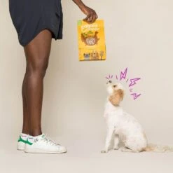 Edgard & Cooper Chien Bio Dinde Et Poulet Frais Sans Céréales 2,5 Kg 13 Edgard & Cooper Chien Bio Dinde Et Poulet Frais Sans Céréales 2,5 Kg -Animaux Fournitures Magasin chien croquette adulte biologique dinde poulet 2 1