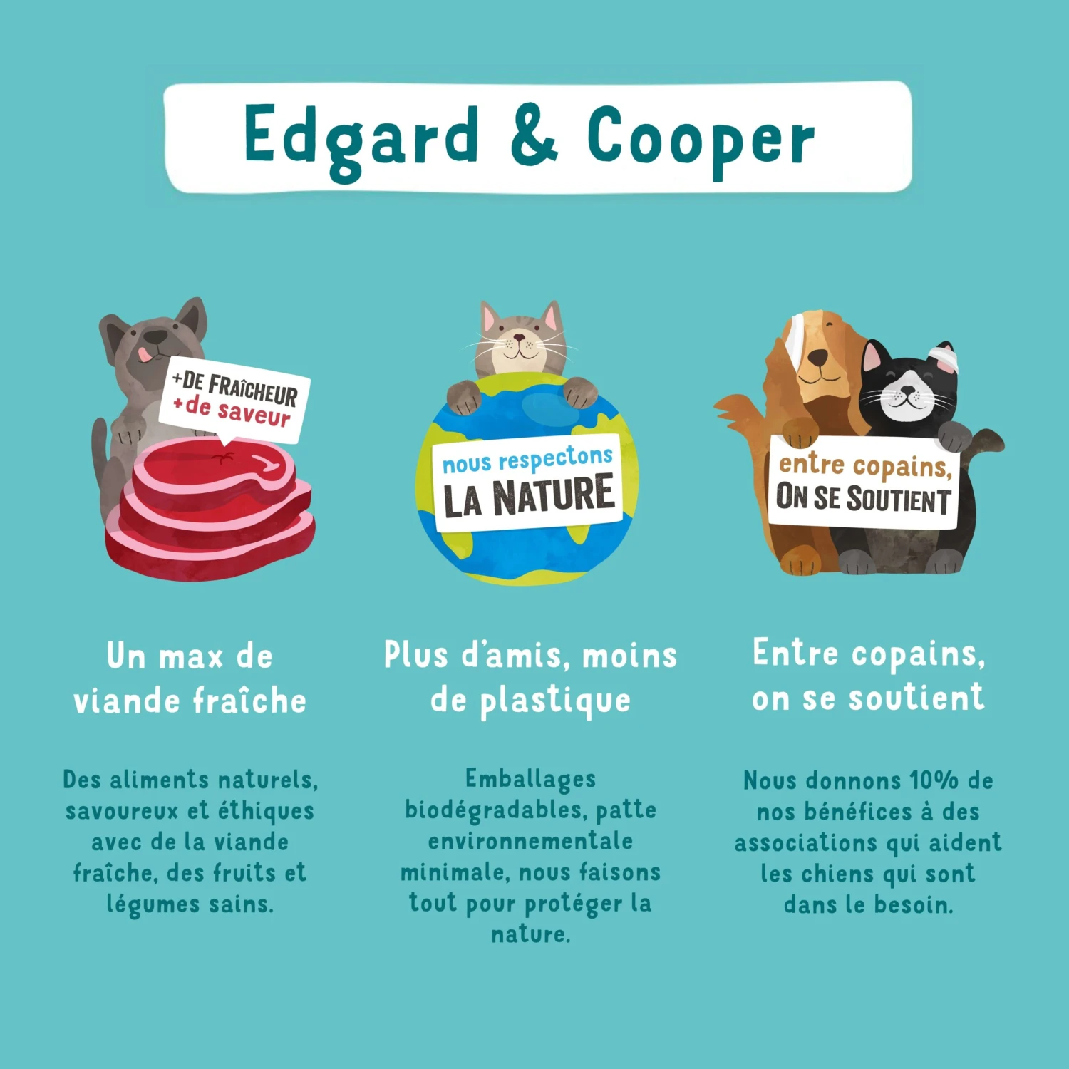 Edgard & Cooper Chien Bio Dinde Et Poulet Frais Sans Céréales 2,5 Kg 10 Edgard & Cooper Chien Bio Dinde Et Poulet Frais Sans Céréales 2,5 Kg – Image 8