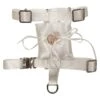 Croci Ceremony Harnais Porte Alliances XS - Destockage 2 Croci Ceremony Harnais Porte Alliances XS - Destockage -Animaux Fournitures Magasin croci ceremony harnais porte alliance1 1
