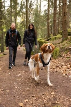 Cani Gear Harnais Symbioz Chien Bleu XL 13 Cani Gear Harnais Symbioz Chien Bleu XL -Animaux Fournitures Magasin cy6031 ambiance 13 5