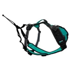 Cani Gear Harnais Symbioz Chien Bleu XL