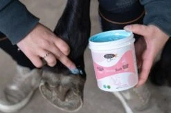 Horse Master DermoSoft Crème Anti Crevasses 500 G 5 Horse Master DermoSoft Crème Anti Crevasses 500 G -Animaux Fournitures Magasin dermosoft 2