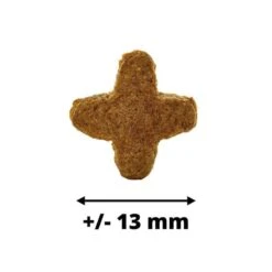 Dogteur Premium Low Grain Chat D’intérieur Ou Stérilisé 10 Kg (2 X 5 Kg) 11 Dogteur Premium Low Grain Chat D’intérieur Ou Stérilisé 10 Kg (2 X 5 Kg) -Animaux Fournitures Magasin dogteur croquettes chats da inta rieur volaille 5 kg 2