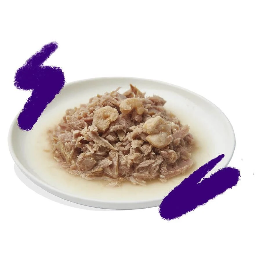 Edgard & Cooper Chat Filet De Thon Et Crevettes 24 X 70 G 5 Edgard & Cooper Chat Filet De Thon Et Crevettes 24 X 70 G – Image 3