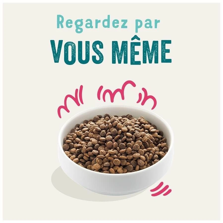 Edgard & Cooper Chien Bio Boeuf Et Poulet Frais Sans Céréales 2,5 Kg 5 Edgard & Cooper Chien Bio Boeuf Et Poulet Frais Sans Céréales 2,5 Kg – Image 3