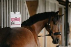 Horse Master Equi-diur Métabolisme Hépato-rénal Cheval 1 L 5 Horse Master Equi-diur Métabolisme Hépato-rénal Cheval 1 L -Animaux Fournitures Magasin equidiur