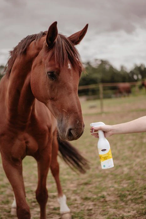 Horse Master Equifly Control Plus Répulsif Cheval 1 L 4 Horse Master Equifly Control Plus Répulsif Cheval 1 L – Image 2