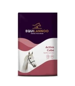 Equilannoo Active Cube Cheval 20 Kg