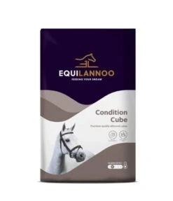 Equilannoo Condition Cube Cheval 20 Kg