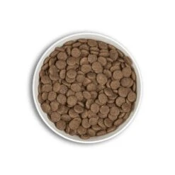 Millenium ERA Millennium Adulte Moyenne Et Grande Race Canard Agneau 12 Kg 7 Millenium ERA Millennium Adulte Moyenne Et Grande Race Canard Agneau 12 Kg -Animaux Fournitures Magasin era millenium adulte moyenne et grande race canard agneau 12 kg 3