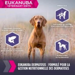 Eukanuba Veterinary Diets Chien Dermatosis 5 Kg 11 Eukanuba Veterinary Diets Chien Dermatosis 5 Kg -Animaux Fournitures Magasin eukanuba veterinary diets dermatosis fp chien 5 kg 4