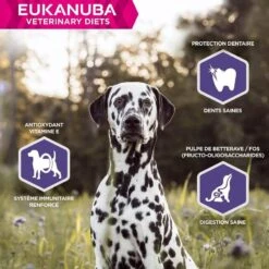 Eukanuba Veterinary Diets Chien Dermatosis 5 Kg 12 Eukanuba Veterinary Diets Chien Dermatosis 5 Kg -Animaux Fournitures Magasin eukanuba veterinary diets dermatosis fp chien 5 kg 5