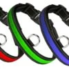 Eyenimal RGB Light Collar 3 Couleurs M 2 Eyenimal RGB Light Collar 3 Couleurs M -Animaux Fournitures Magasin eyenimal rgb light collar 3 couleurs l 1 1