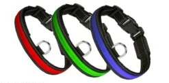 Eyenimal RGB Light Collar 3 Couleurs M