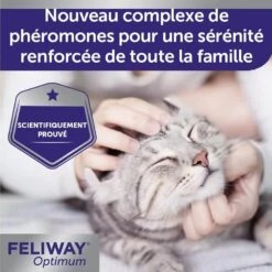 Feliway Optimum Recharge Pour Diffuseur 48 Ml 15 Feliway Optimum Recharge Pour Diffuseur 48 Ml -Animaux Fournitures Magasin feliway optimum recharge pour diffuseur 48 ml 5