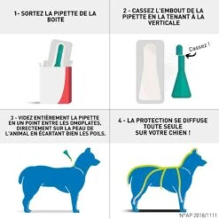 Frontline Spot On Chien De 10-20 Kg 6 Pipettes 9 Frontline Spot On Chien De 10-20 Kg 6 Pipettes -Animaux Fournitures Magasin frontline spot on chien de 10 20 kg 6 pipettes3
