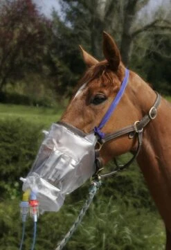 Greenpex Top Mask Pour Nébulisateur Horseneb