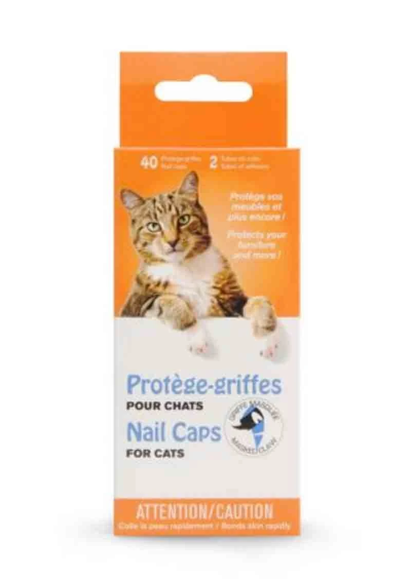 Protège-griffe Griffe Masquée Pour Chat Transparent M 3 Protège-griffe Griffe Masquée Pour Chat Transparent M