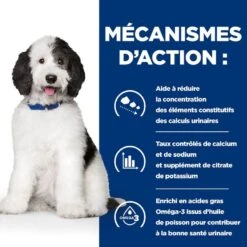 Hill's Prescription Diet Canine C/D 1.5 Kg 10 Hill's Prescription Diet Canine C/D 1.5 Kg -Animaux Fournitures Magasin hill s prescription diet canine cd 1.5 kg4