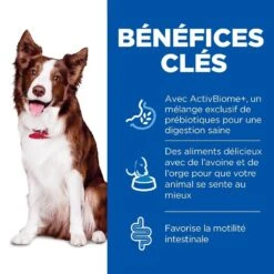 Hill's Science Plan Canine Adult Perfect Digestion Medium 2.5 Kg 9 Hill's Science Plan Canine Adult Perfect Digestion Medium 2.5 Kg -Animaux Fournitures Magasin hill s science plan canine adult perfect digestion medium 3