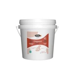 Horse Master Onguent Vert Nutrition Laurier Cheval 1 L 6 Horse Master Onguent Vert Nutrition Laurier Cheval 1 L -Animaux Fournitures Magasin hm onguent vert 1l 550x550 72dpi web