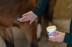 Horse Master Honey CicaBee 500 Ml 8 Horse Master Honey CicaBee 500 Ml -Animaux Fournitures Magasin honey cicabee 3