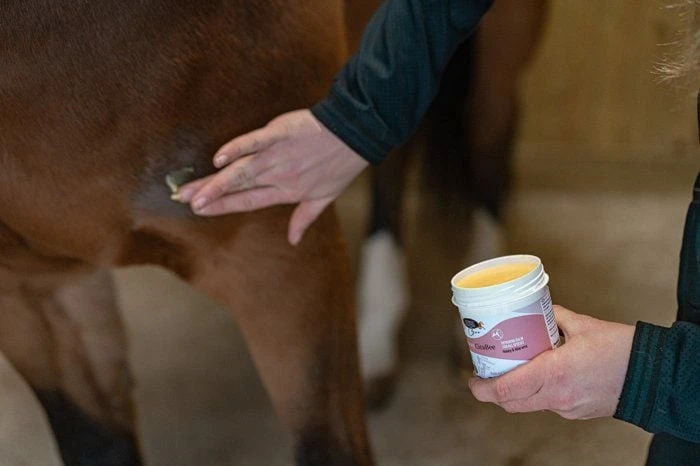 Horse Master Honey CicaBee 500 Ml 5 Horse Master Honey CicaBee 500 Ml â Image 3