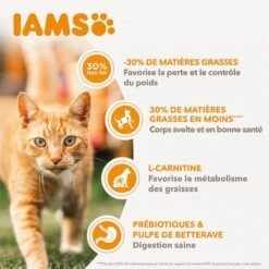 IAMS Vitality Chat Stérilisé Poulet 10 Kg 12 IAMS Vitality Chat Stérilisé Poulet 10 Kg -Animaux Fournitures Magasin iams vitality chat st rilis poulet3 1