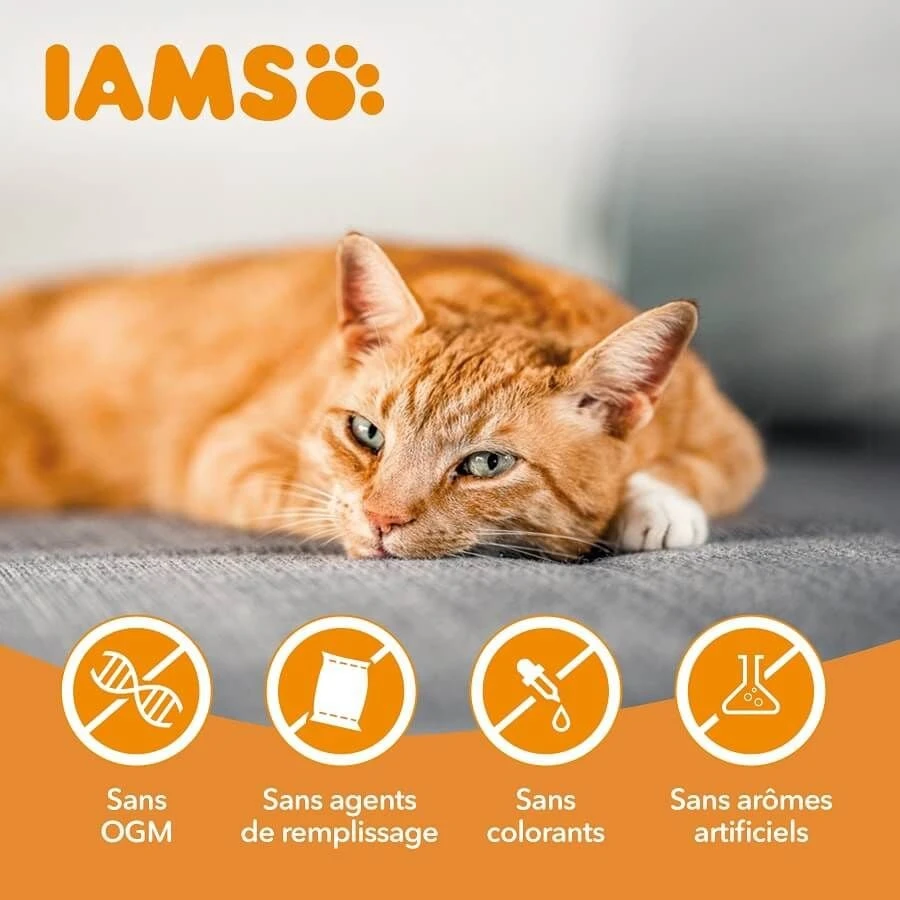 IAMS Vitality Chat Stérilisé Poulet 10 Kg 7 IAMS Vitality Chat Stérilisé Poulet 10 Kg – Image 5