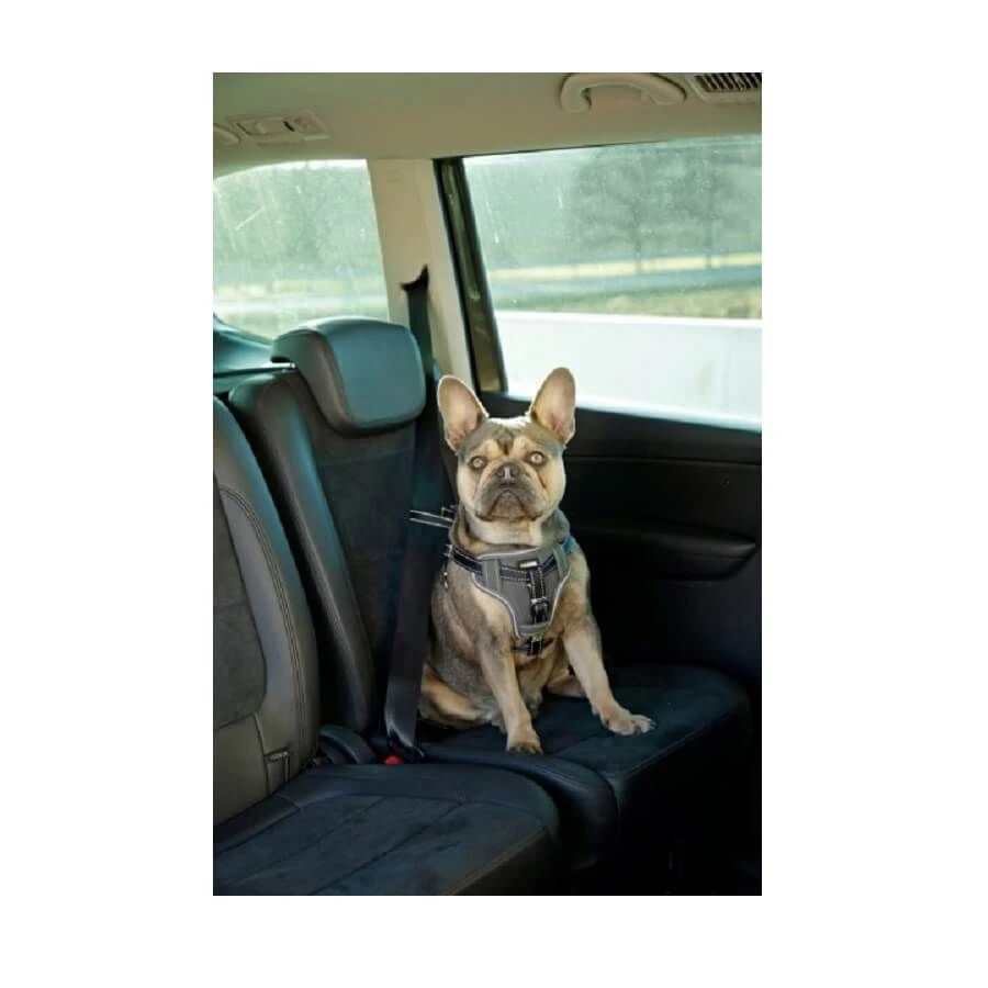 Kerbl Harnais Pour La Voiture Chien 65-85 Cm - Destockage 5 Kerbl Harnais Pour La Voiture Chien 65-85 Cm - Destockage – Image 3