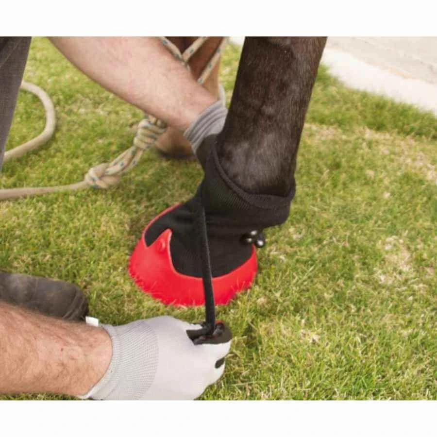 Kerbl Hipposandale Tubbease Rouge Chevaux 14,5 Cm 8 Kerbl Hipposandale Tubbease Rouge Chevaux 14,5 Cm – Image 6