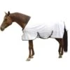 Kerbl Couverture Anti-mouches Pour Cheval 145 Cm 1 Kerbl Couverture Anti-mouches Pour Cheval 145 Cm -Animaux Fournitures Magasin kerbl couverture anti mouches pour cheval 1 1