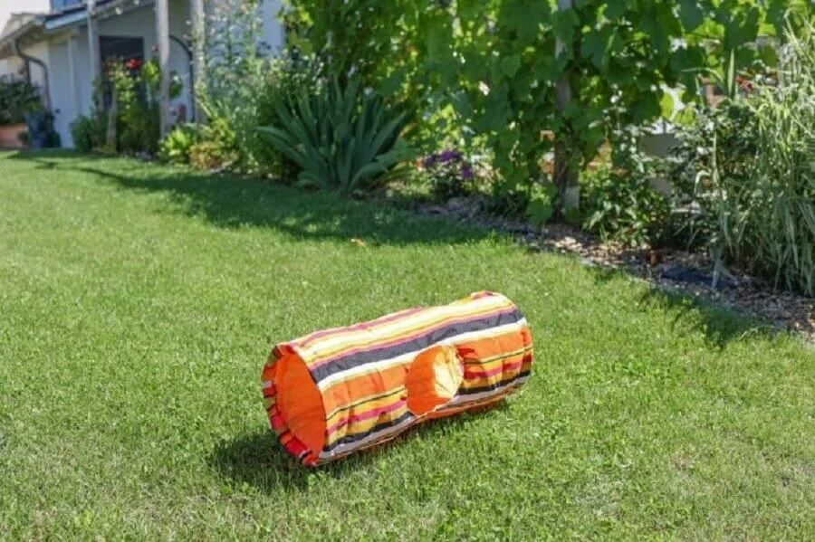 Kerbl Tunnel De Jeu Rayé Multicolore Rongeur 60 Cm 6 Kerbl Tunnel De Jeu Rayé Multicolore Rongeur 60 Cm – Image 4