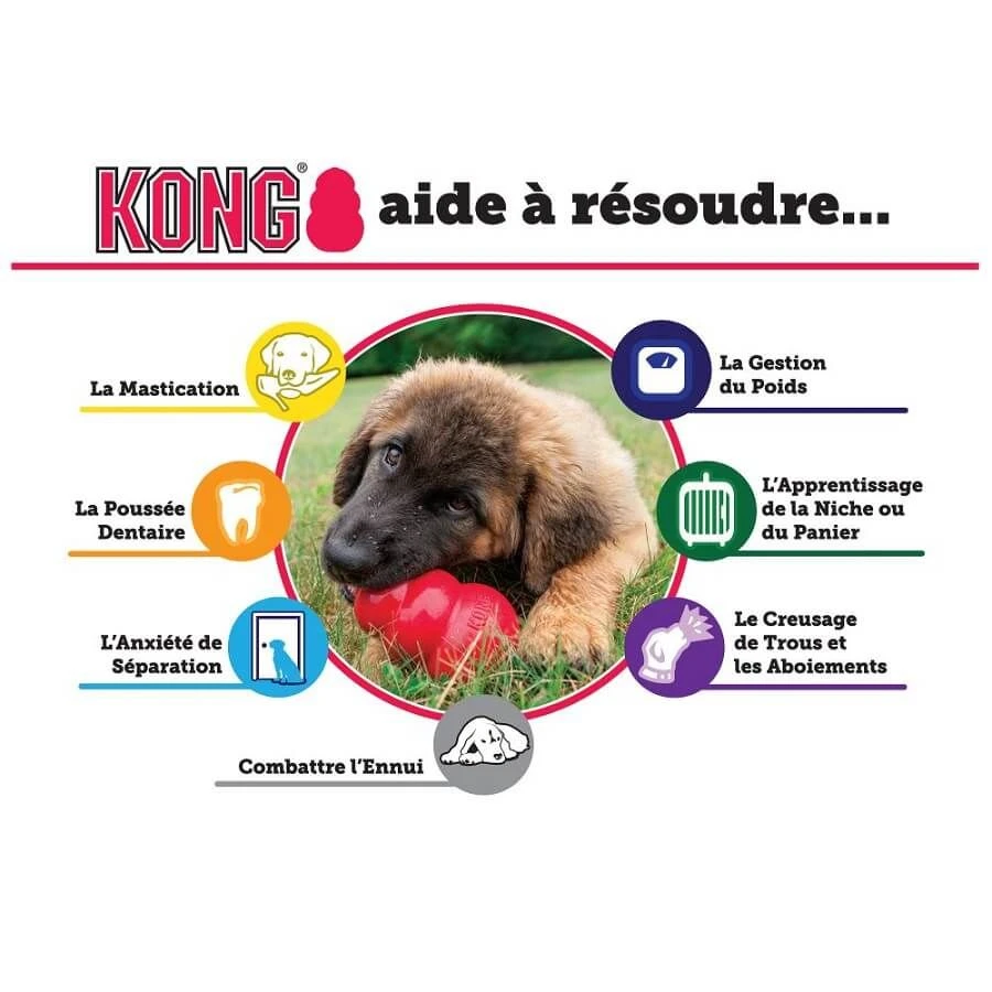 KONG Classic Rouge XS 5 KONG Classic Rouge XS – Image 3