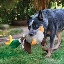 KONG Shakers Honkers Duck Peluche Canard Pour Chien S 5 KONG Shakers Honkers Duck Peluche Canard Pour Chien S -Animaux Fournitures Magasin kong shakers honkers duck peluche pour chien la compagnie des animaux 2