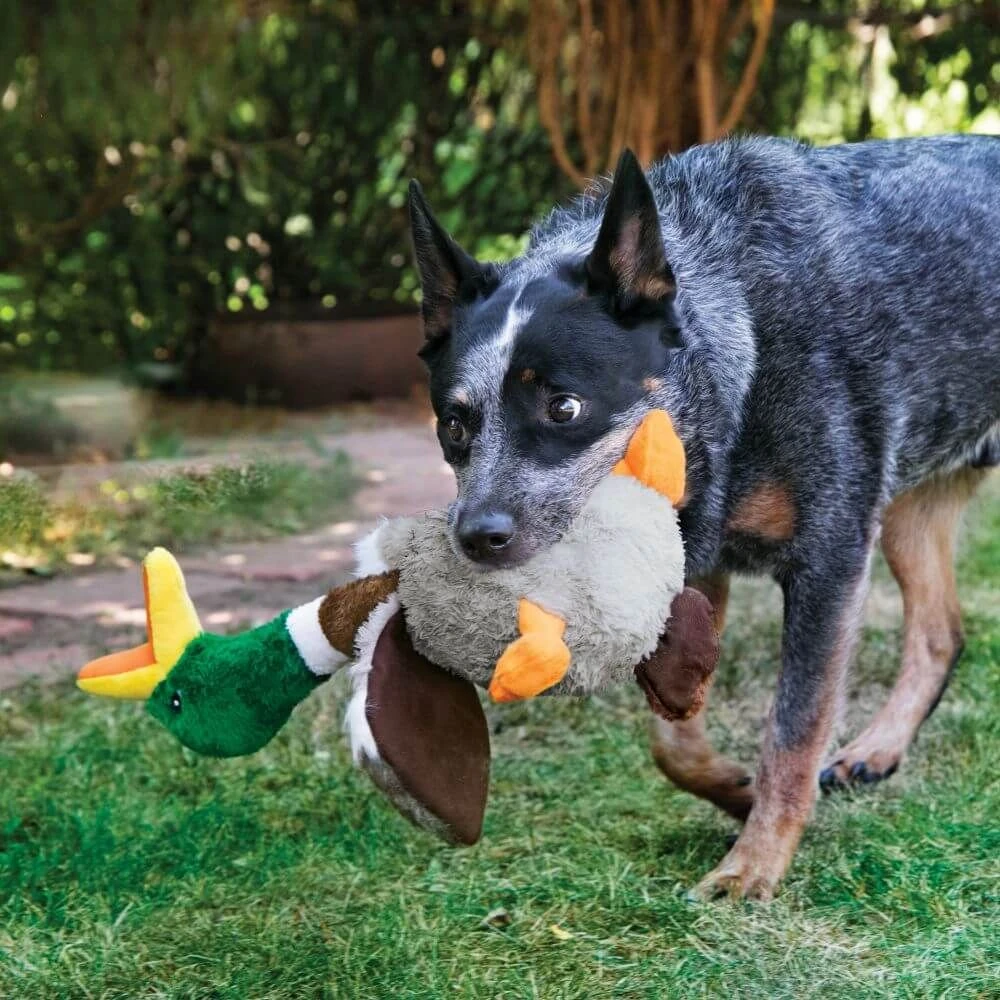 KONG Shakers Honkers Duck Peluche Canard Pour Chien S 4 KONG Shakers Honkers Duck Peluche Canard Pour Chien S – Image 2