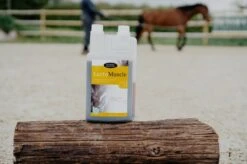 Horse Master Lactomuscle Sirop 1 L 5 Horse Master Lactomuscle Sirop 1 L -Animaux Fournitures Magasin lactomuscle