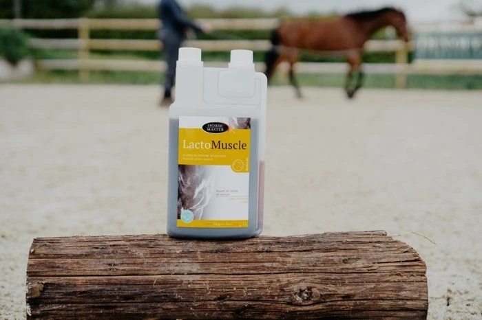Horse Master Lactomuscle Sirop 1 L 4 Horse Master Lactomuscle Sirop 1 L – Image 2