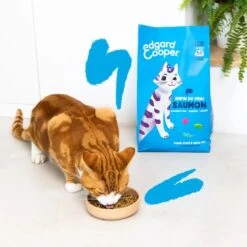 Edgard & Cooper Chat Saumon 4 Kg 8 Edgard & Cooper Chat Saumon 4 Kg -Animaux Fournitures Magasin lifestyle cat adult kibble salmon fr