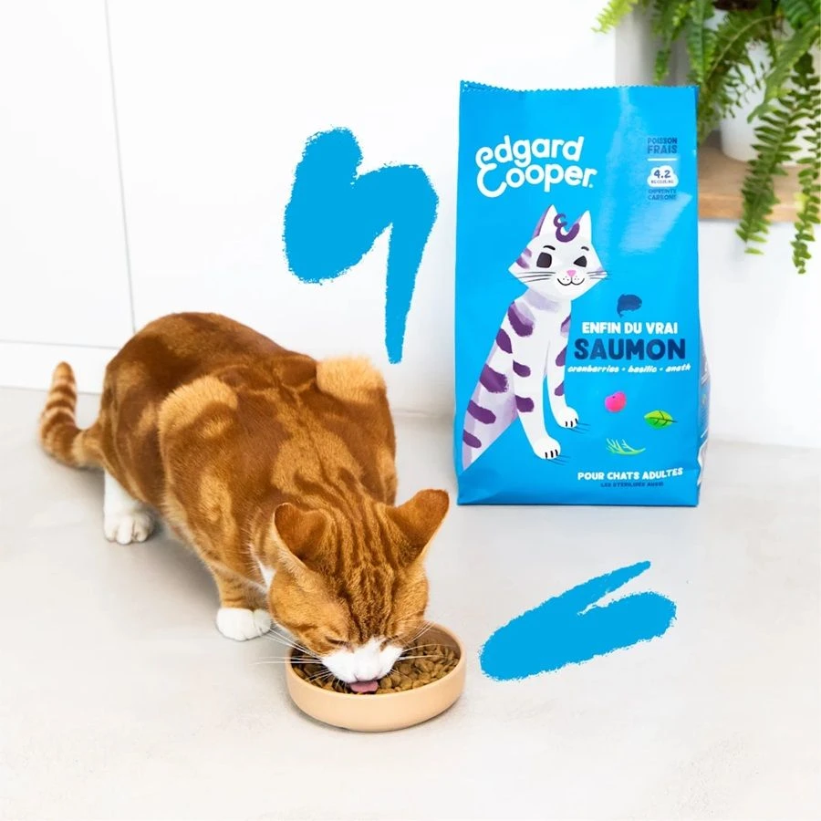 Edgard & Cooper Chat Saumon 4 Kg 5 Edgard & Cooper Chat Saumon 4 Kg – Image 3