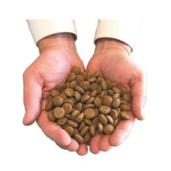 Felichef Croquettes BIO Chaton 800 G 8 Felichef Croquettes BIO Chaton 800 G -Animaux Fournitures Magasin main avec croquettes 3 1