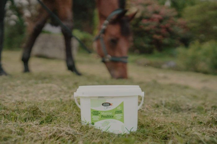 Horse Master Marine Poultice Argile Cheval 3 Kg 5 Horse Master Marine Poultice Argile Cheval 3 Kg – Image 3
