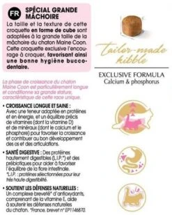 Royal Canin Maine Coon Kitten 10 Kg 12 Royal Canin Maine Coon Kitten 10 Kg -Animaux Fournitures Magasin mc kit information