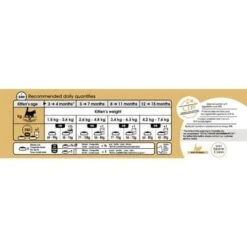 Royal Canin Maine Coon Kitten 10 Kg 13 Royal Canin Maine Coon Kitten 10 Kg -Animaux Fournitures Magasin mc kit ration