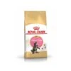 Royal Canin Maine Coon Kitten 10 Kg 2 Royal Canin Maine Coon Kitten 10 Kg -Animaux Fournitures Magasin mc kit pack