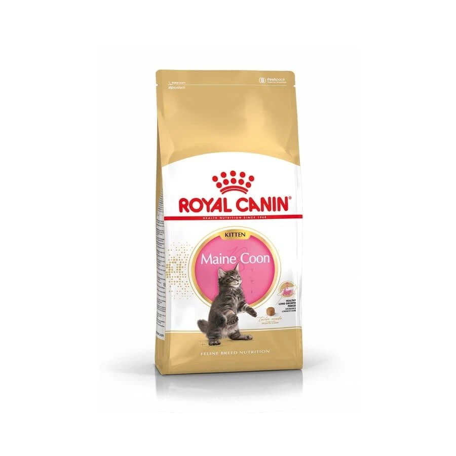 Royal Canin Maine Coon Kitten 10 Kg 3 Royal Canin Maine Coon Kitten 10 Kg