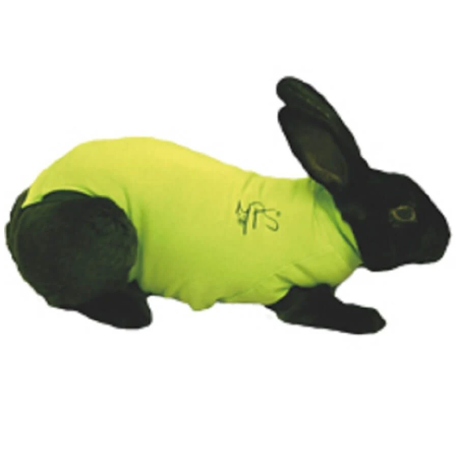 Medical Pet Shirt Gilet Protecteur Lapin XXXS 3 Medical Pet Shirt Gilet Protecteur Lapin XXXS